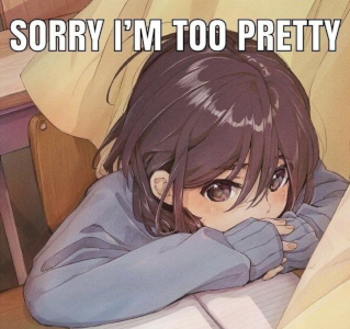Sorry, I'm too pretty